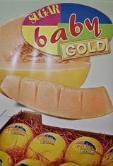 Procomel launched Sugar Baby Gold last season