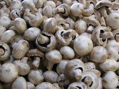 Northern Irish mushroom investment made