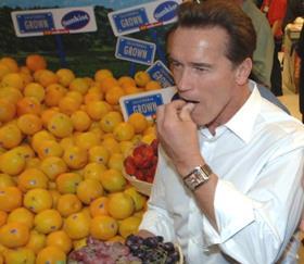 Arnie eating fruit