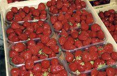 Belgian fresh produce industry puts best foot forward