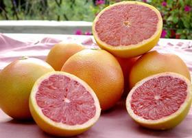 South African Star Ruby grapefruit