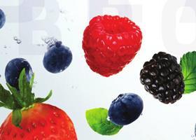 Bilka berries