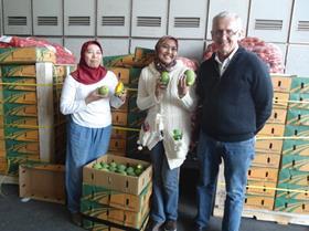 Indonesia mango trial