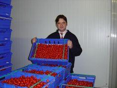 EVG sales director David Shepherd