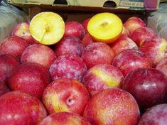 African Delight for UK retailer