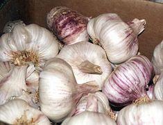 EU garlic import regulations change