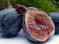 Brits get a taste for the exotic
