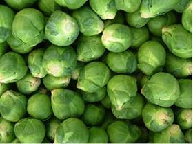 sprouts