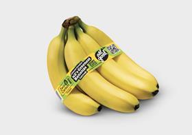 All good bananas carbon zero 2