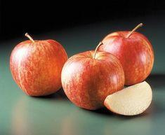 New Zealand apple crop hit by weather