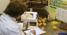 Quality Assessment Lab image Homepage banner