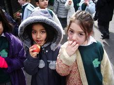 School scheme under pressure