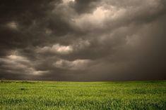 Farmers will look to deal with unpredictable weather conditions