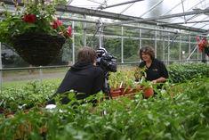 Joanna Plumb during filming