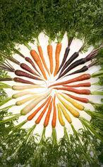 Tesco sells a rainbow with carrot range