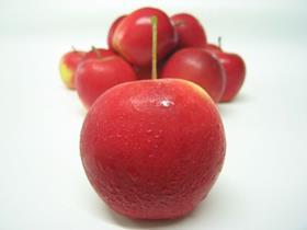 NZ New Zealand Rockit apples Havelock North