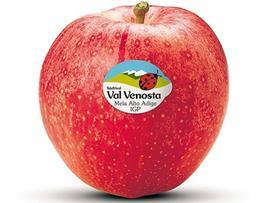 Val Venosta apple