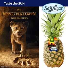 SanLucar-The Lion King