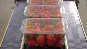 IT Ilip LifePlus packaging strawberries