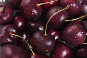 California cherries Oppy