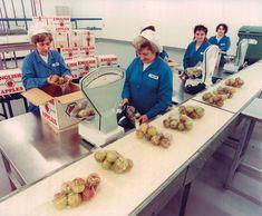 Fresca Group: From Matthew Mack to Thanet Earth