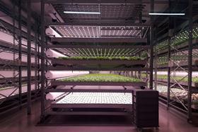 A vertical farm