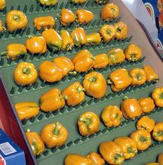 Pepper prices soar as production falls