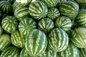 watermelons