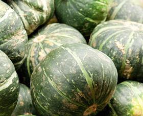 NZ Buttercup squash