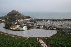 Jersey crops have not had rain since 3 April