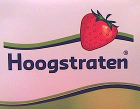 Veiling Hoogstraten logo