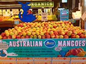 US Oneharvest calypso mango in US
