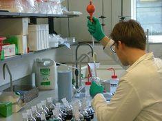 Horticulture research: Under review