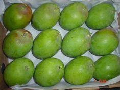 Relying on Indian mangoes