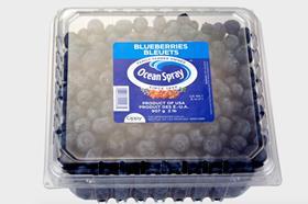 Oppy Ocean Spray blueberries