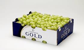 ZA Capespan gold grapes