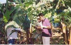Tesco checks out bananas in Dominica
