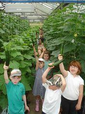 Kids turn out for Food Live