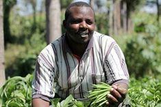 Fairtrade vegetable growers are gearing up to enter the UK market