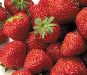 generic strawberries