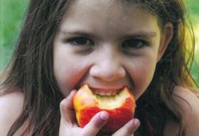 School Fruit Scheme review