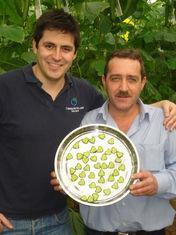 EVS’s technologist Brian Peñaloza with grower Jose Rodriguez