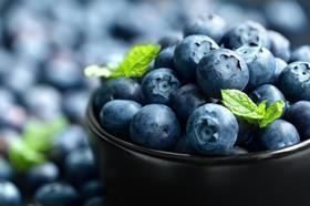 Hortifrut blueberries