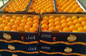 EG Nile citrus