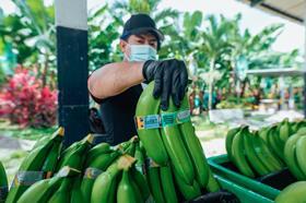 EC CREDIT Equifruit TAGS Fairtrade bananas