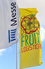 Fruit Logistica embraces fresh-cut sector