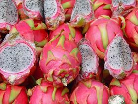 GEN dragon fruit