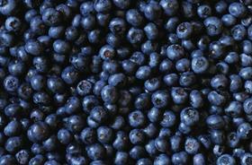Argentinean blueberries