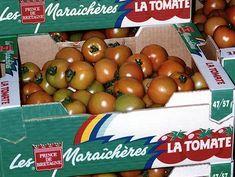 Prince de Bretagne's tomatoes