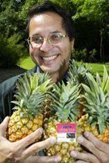 Bernado Jaen supplies UK supermarkets with pineapples through a Fairtrade co-operative in Costa Rica